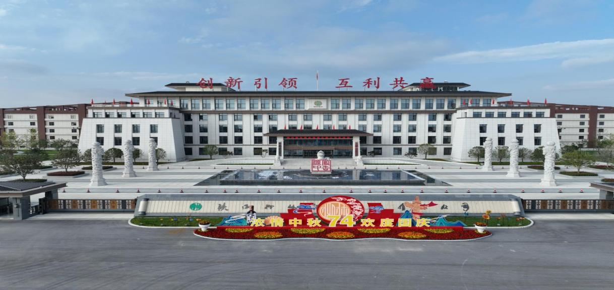 图片 4.png